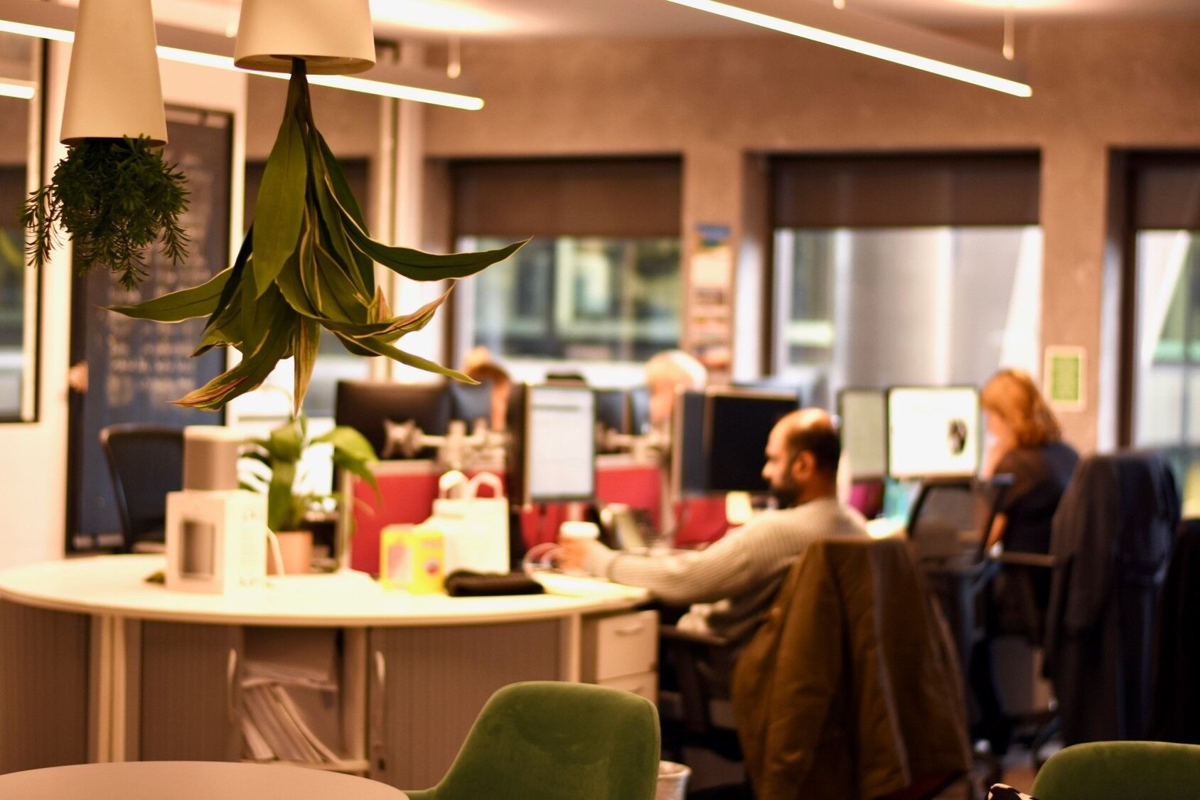 Warm lighting in InterQuest Group's office upside-down plants round desks