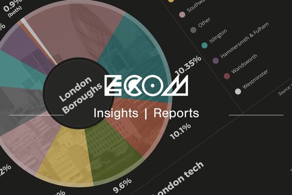 ECOM insights reports banner digital economy screenshot from the report