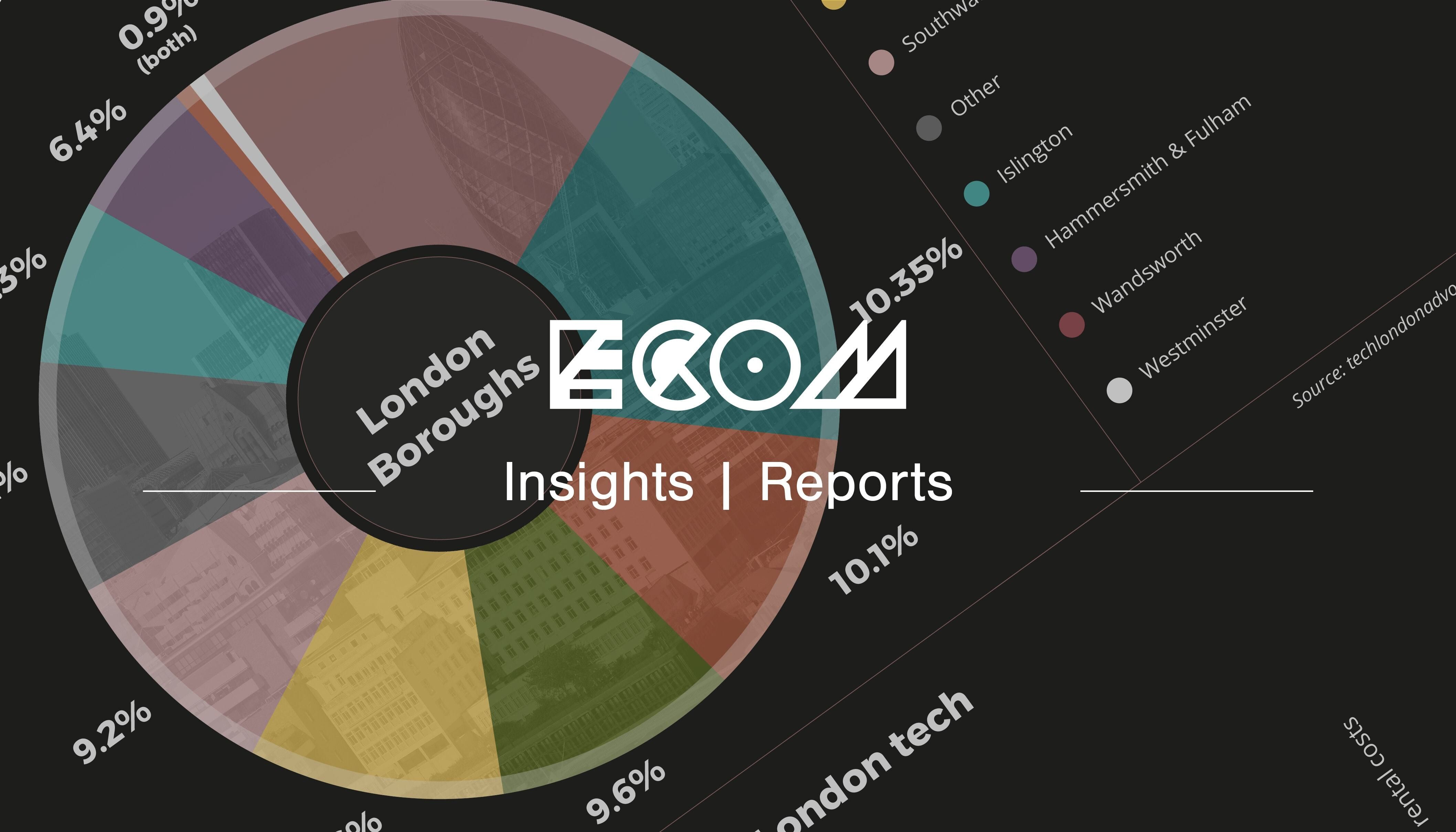 ECOM insights reports banner digital economy screenshot from the report