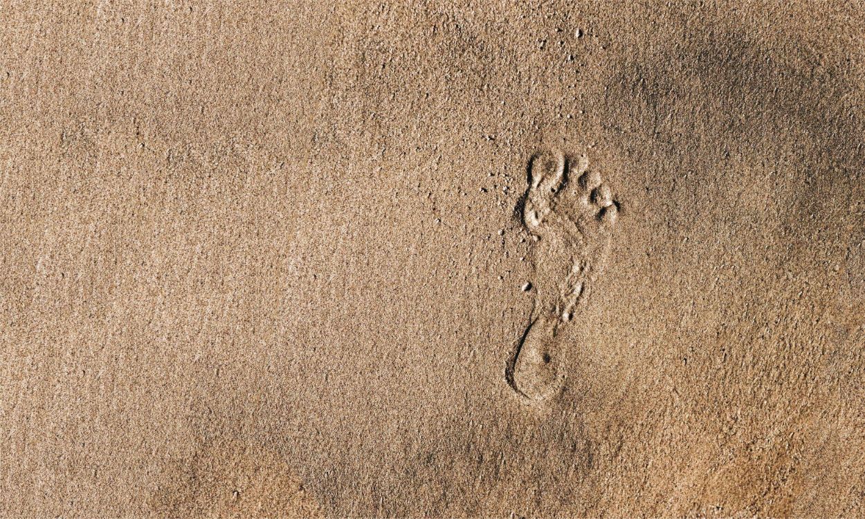 A footprint in wet sand